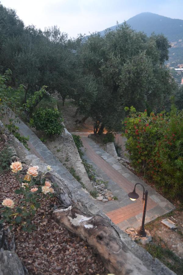 Villa Olivari - Apt Il Melograno Camogli Kültér fotó